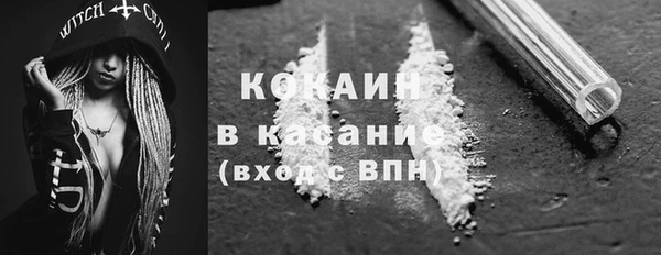 мдпв Кодинск