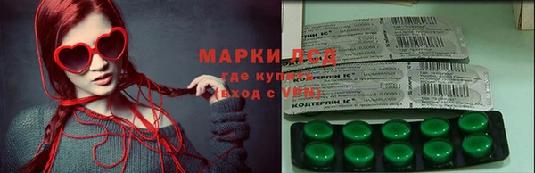 стаф Козловка