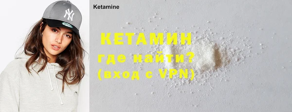 стаф Козловка