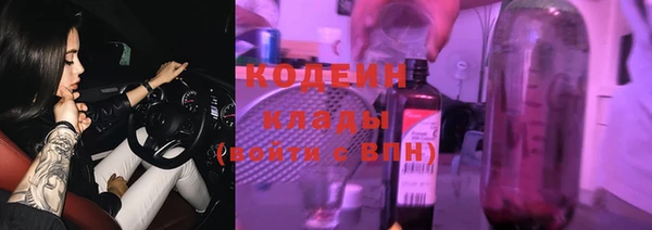 стаф Козловка