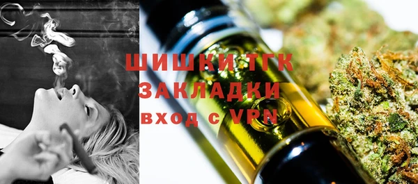 мдпв Кодинск