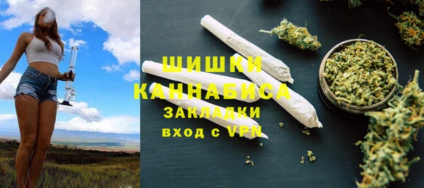 мдпв Кодинск
