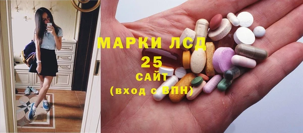 мдпв Кодинск
