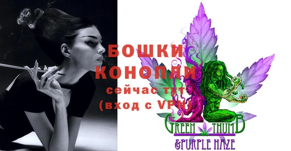 первитин Козельск