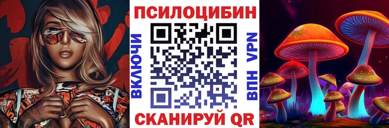 Галлюциногенные грибы Psilocybine cubensis  Купить где  Обь 