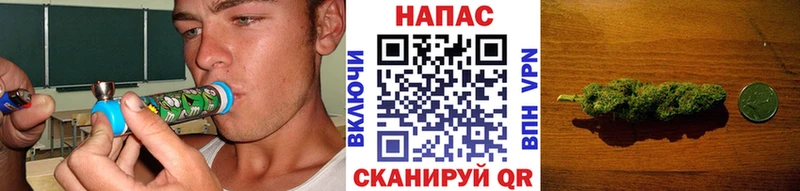 Конопля AK-47  Купить закладки  Обь 
